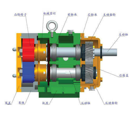 凸輪轉子泵產(chǎn)品特點(diǎn)和工作原理